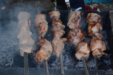 Juicy slices of meat with sauce prepare on fire (kebab)