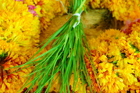 Green leaves and flowers