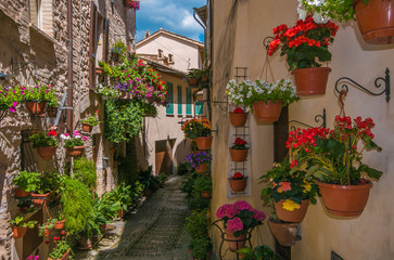 Fototapeta na wymiar Romantico vicolo decorato con vasi di fiori nel centro storico di Spello