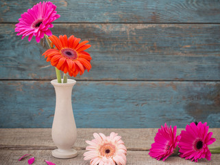 gerbera in vase on old blue wooden background