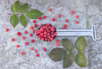 fruit raspberries in the metallic spoon and green leaf