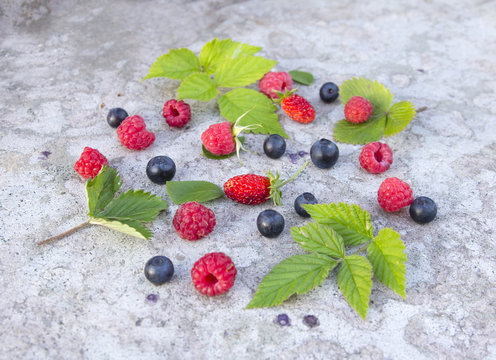 Forest fruits in the concrete background