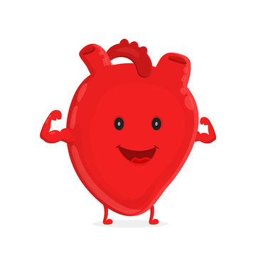 Strong Healthy Happy Heart Character. Vector Flat Cartoon Illustration Icon Design. Isolated On White Backgound