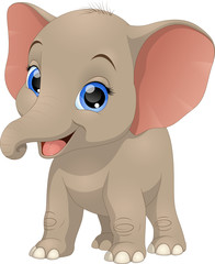 Cute funny baby elephant