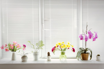 Beautiful flowers and home plants on windowsill