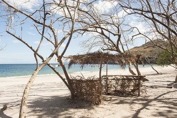 Palm Branch Beach Bar