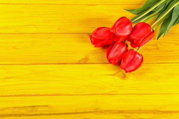 Bouquet of beautiful tulips on color wooden background