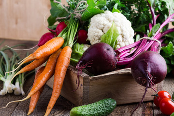 Harvest still life. Food composition of fresh organic vegetables