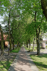 park w mieście