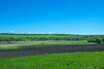 Treated field, green field and sky without a cloud