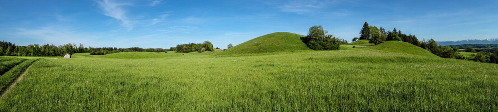 Buckelwiesen im bayrischen Alpenvorland