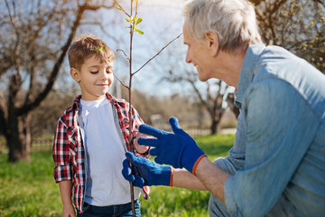 Close up of grandad and grandkid setting fruit tree