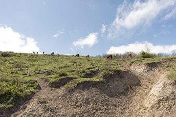 Near the village of fontibre in cantabria