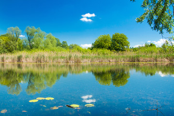 Beautiful landscape in coutryside, lake in nature park Lonjsko polje, Croatia 