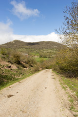 Fototapeta na wymiar Near the village of fontibre in cantabria