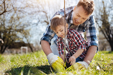 Male family members planting fruit tree