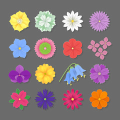 Set of colorful Paper Flowers white background. Vector eps 10 format. - 152764144