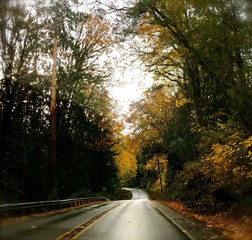 Obraz premium Highway 101, WA