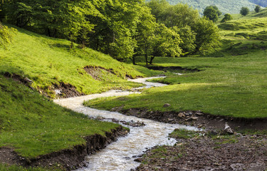 Fototapeta na wymiar Mountain stream flowing through the green forest and meadow.