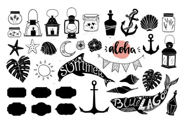 Hand drawn vector illustration - Marine life. Perfect for invitations, greeting cards, posters and more. Silhouette of whales and dolphins. Big summer collection of design elements