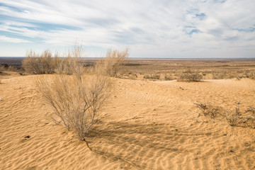 Kyzylkum Desert