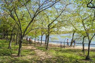 The beautiful park around Tidal Basin in Washington - WASHINGTON DC - COLUMBIA - APRIL 7, 2017