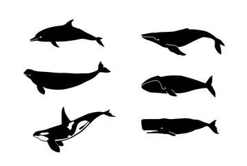 Whales. For laser cutting. Shadows.