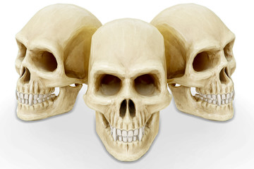 Obraz premium The vampire skull on white background. 3d rendering.