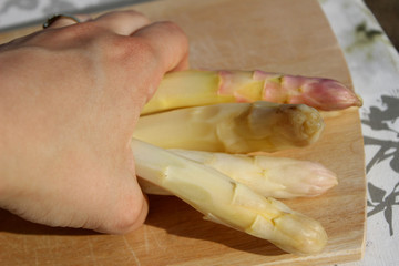 Weißer Spargel in der Hand