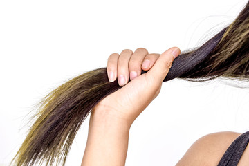 Combing with brush and pulls long hair.Daily preparation for looking nice, Long Disheveled Hair,Holding Messy Unbrushed Dry Hair In Hands.Hair Damage,Health And Beauty Concept,unhappy with dry hair