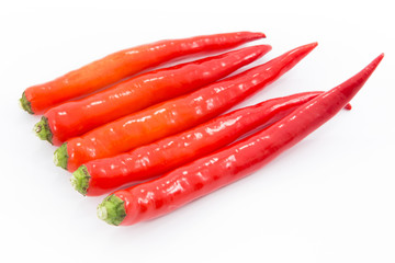Hot red chili or chilli pepper isolated on white background.