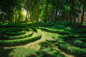 Beautiful urban park in sunny day of Istanbul city, Turkey. Beautiful decoration of green grass lawn in the park with warm sunlight at sunset time, outdoor landscape photography