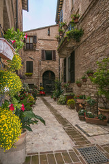 Fototapeta na wymiar Spello: fantastico borgo medievale fiorito
