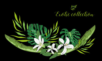 Tropical hand drawn exotic collection background with leaves and flowers.