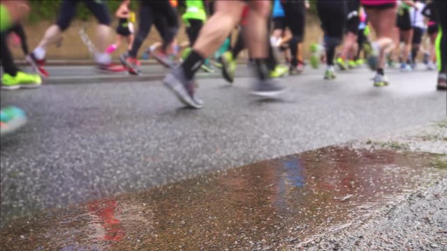 legs of marathon runners with reflection from asphalt