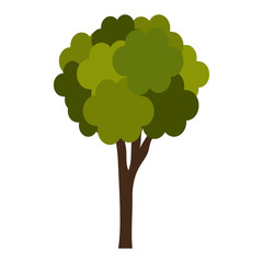 tree plant isolated icon vector illustration design