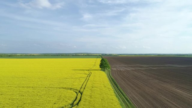 flug &uuml;ber ein gelbes rapsfeld und einen gepfl&uuml;gten acker
