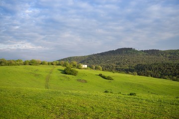 Fototapeta na wymiar Green meadow with trees and views to mountains. Slovakia