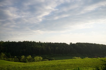 Green meadow with trees and views to mountains. Slovakia