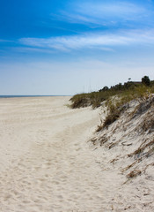 Hilton Head - Coligny Beach