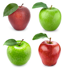 apple fruits with leaf