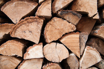 Chopped wood stacked up to dry for fire wood