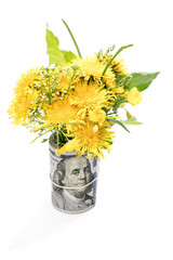 Beautiful bouquet of dandelions and other spring flowers standing in a bundle of money rolled into a tube like a vase, isolated on a white background