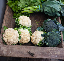 Broccoli and cauliflowers