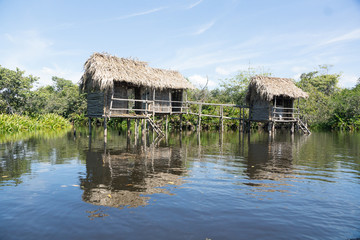 Fototapeta na wymiar mangrove swamp cabins