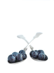 Fresh blueberries on two spoons isolated on white.