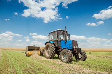 Fototapeta premium Tractor collects dry hay on the farm field