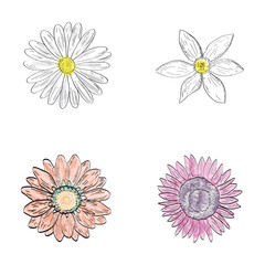 Set of outlines of different flowers, Vector illustration