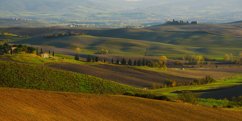 Fototapeta na wymiar Wavy fields in Tuscany at sunset, Italy. Natural outdoor seasonal autumn background.