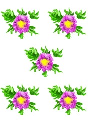 Pattern pink flowers, watercolor, isolated